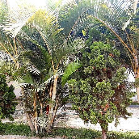Villa Hospedaje Chanchan Cultural Lodge Trujillo Dış mekan fotoğraf