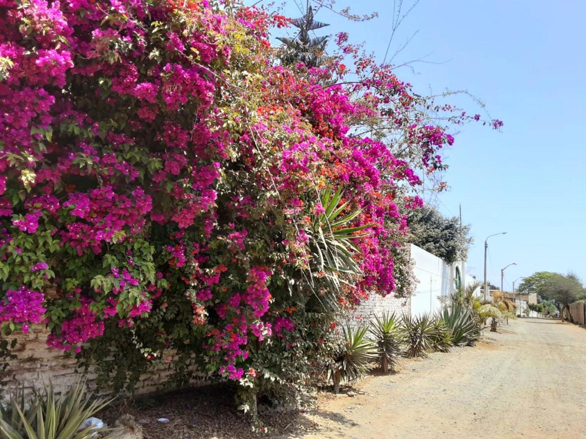 Villa Hospedaje Chanchan Cultural Lodge Trujillo Dış mekan fotoğraf