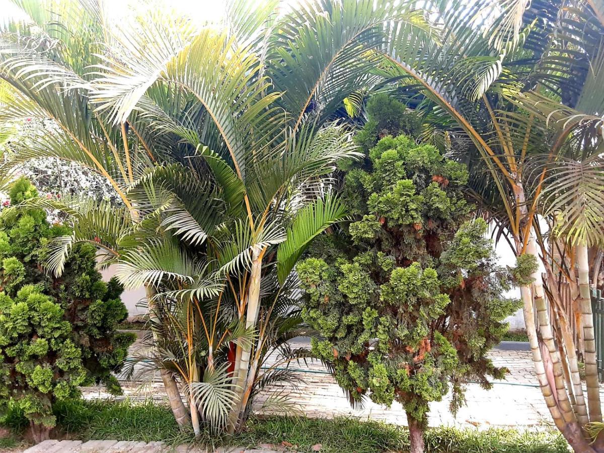 Villa Hospedaje Chanchan Cultural Lodge Trujillo Dış mekan fotoğraf